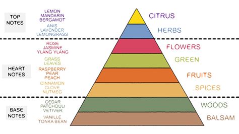 perfume olfactory pyramid meaning